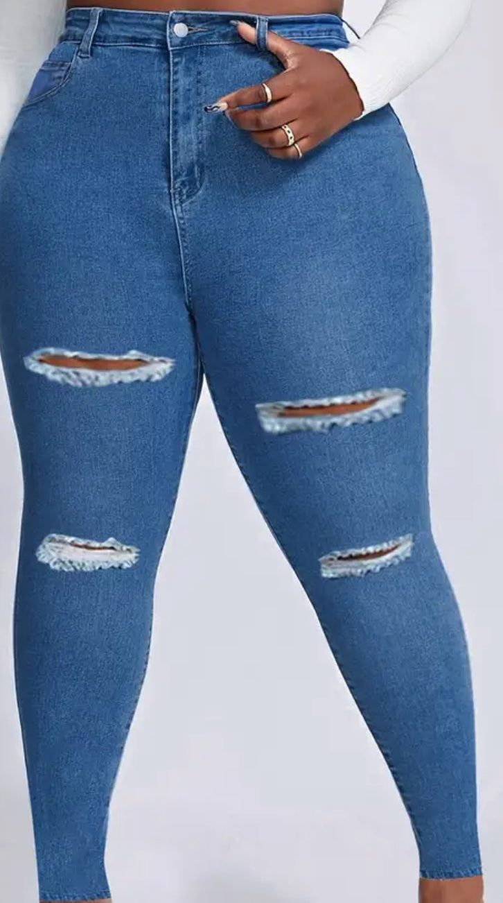 Sliced Plus Size Jeans