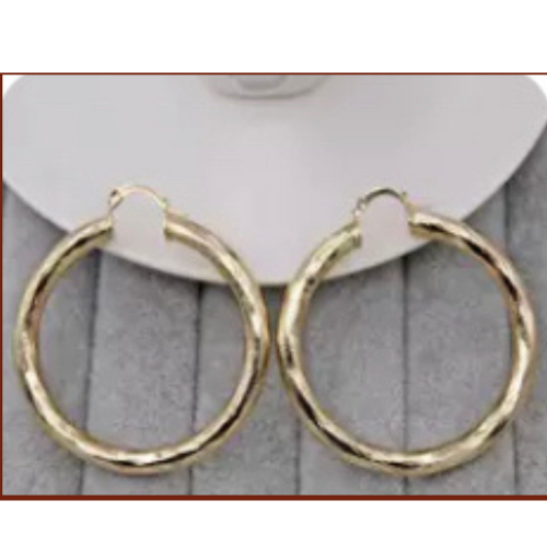 Goldtone Hoop Earring